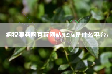 纳税服务网官方网站(12366是什么平台)