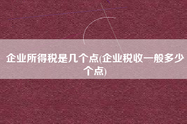 企业所得税是几个点(企业税收一般多少个点)