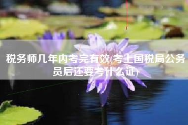 税务师几年内考完有效(考上国税局公务员后还要考什么证)