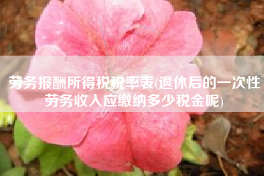 劳务报酬所得税税率表(退休后的一次性劳务收入应缴纳多少税金呢)