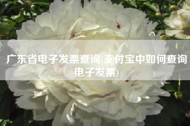 广东省电子发票查询(支付宝中如何查询电子发票)