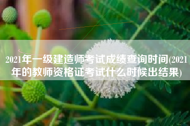 2021年一级建造师考试成绩查询时间(2021年的教师资格证考试什么时候出结果)