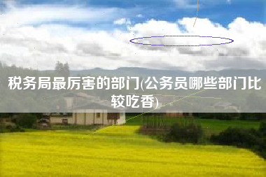 税务局最厉害的部门(公务员哪些部门比较吃香)