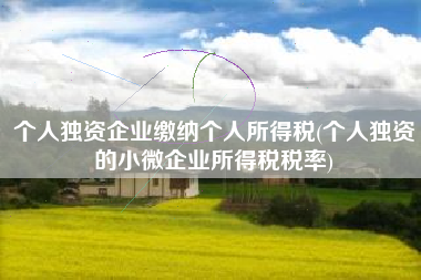 个人独资企业缴纳个人所得税(个人独资的小微企业所得税税率)