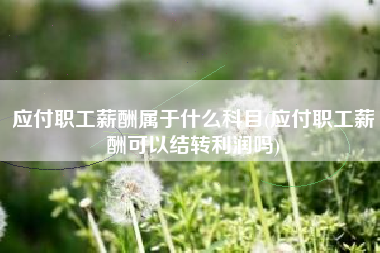 应付职工薪酬属于什么科目(应付职工薪酬可以结转利润吗)