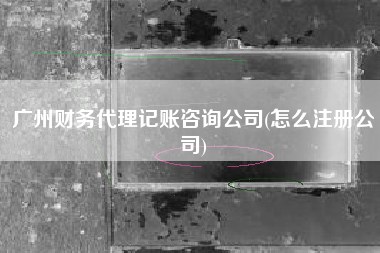 广州财务代理记账咨询公司(怎么注册公司)