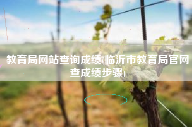 教育局网站查询成绩(临沂市教育局官网查成绩步骤)