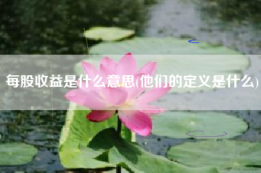 每股收益是什么意思(他们的定义是什么)