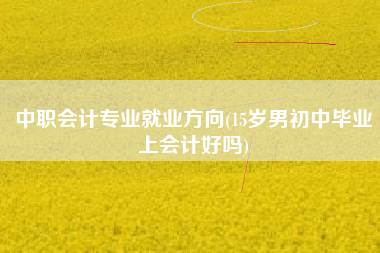 中职会计专业就业方向(15岁男初中毕业上会计好吗)