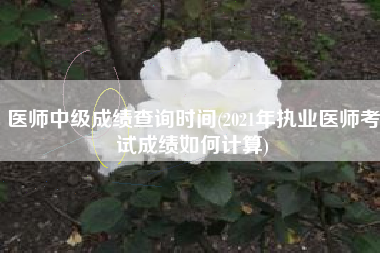 医师中级成绩查询时间(2021年执业医师考试成绩如何计算)