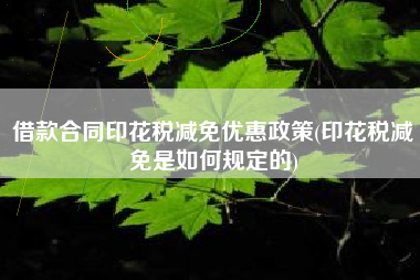 借款合同印花税减免优惠政策(印花税减免是如何规定的)