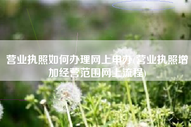 营业执照如何办理网上申办(营业执照增加经营范围网上流程)
