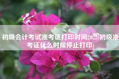 初级会计考试准考证打印时间2022(初级准考证什么时候停止打印)