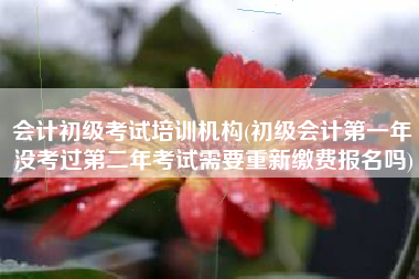 会计初级考试培训机构(初级会计第一年没考过第二年考试需要重新缴费报名吗)