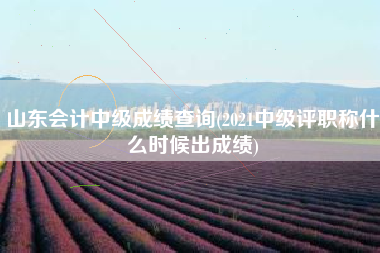 山东会计中级成绩查询(2021中级评职称什么时候出成绩)