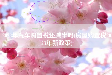 2023年汽车购置税还减半吗(房屋购置税2023年新政策)