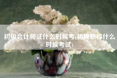 初级会计师证什么时候考(初级职称什么时候考试)