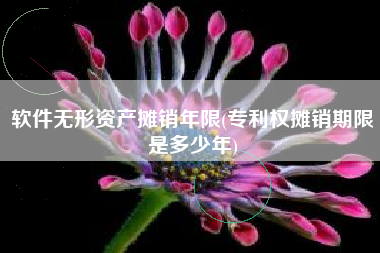 软件无形资产摊销年限(专利权摊销期限是多少年)