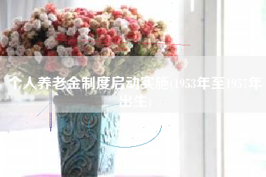 个人养老金制度启动实施(1953年至1957年出生)