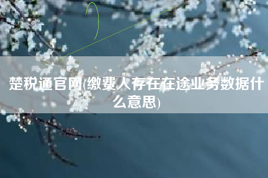 楚税通官网(缴费人存在在途业务数据什么意思)