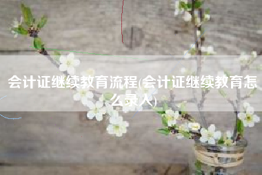 会计证继续教育流程(会计证继续教育怎么录入)
