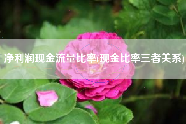 净利润现金流量比率(现金比率三者关系)