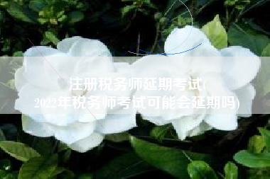 注册税务师延期考试(
2022年税务师考试可能会延期吗)