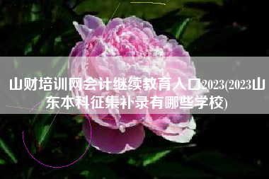 山财培训网会计继续教育入口2023(2023山东本科征集补录有哪些学校)