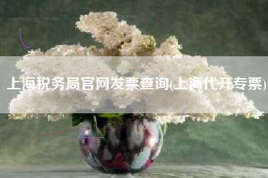 上海税务局官网发票查询(上海代开专票)
