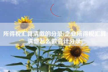 所得税汇算清缴的分录(企业所得税汇算清缴怎么做会计分录)