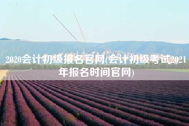 2020会计初级报名官网(会计初级考试2021年报名时间官网)