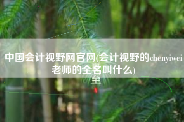 中国会计视野网官网(会计视野的chenyiwei老师的全名叫什么)