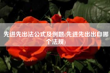 先进先出法公式及例题(先进先出出自哪个法规)