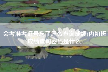 会考准考证号忘了怎么查询成绩(内初班成绩查询密码是什么)