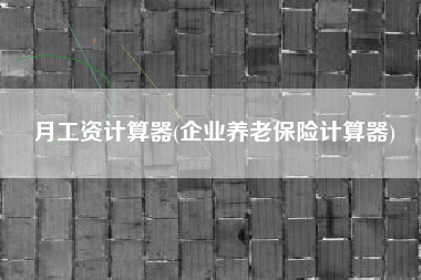 月工资计算器(企业养老保险计算器)