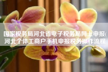 国家税务局河北省电子税务局网上申报(河北个体工商户手机申报税务操作流程
)