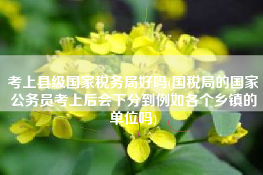 考上县级国家税务局好吗(国税局的国家公务员考上后会下分到例如各个乡镇的单位吗)