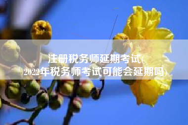 注册税务师延期考试(
2022年税务师考试可能会延期吗)