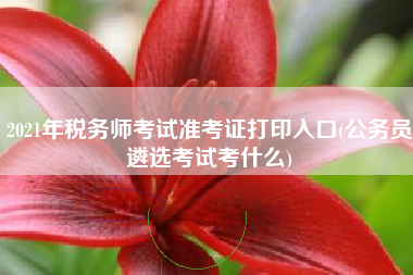 2021年税务师考试准考证打印入口(公务员遴选考试考什么)