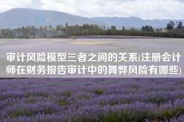 审计风险模型三者之间的关系(注册会计师在财务报告审计中的舞弊风险有哪些)