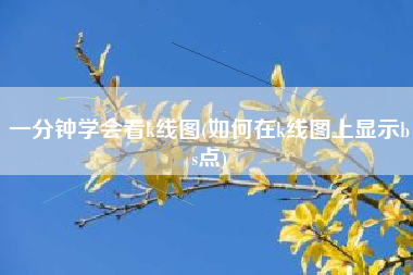 一分钟学会看k线图(如何在k线图上显示bs点)