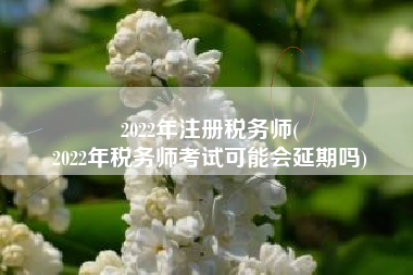 2022年注册税务师(
2022年税务师考试可能会延期吗)