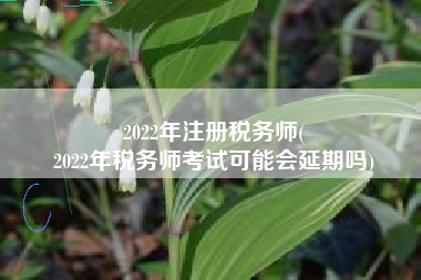2022年注册税务师(
2022年税务师考试可能会延期吗)