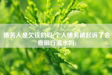 债务人是欠钱的吗(个人债务被起诉了会查银行流水吗)