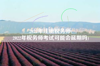 2022年注册税务师(
2022年税务师考试可能会延期吗)