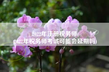 2022年注册税务师(
2022年税务师考试可能会延期吗)