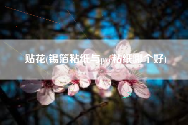 贴花(锡箔粘纸与pvc粘纸哪个好)