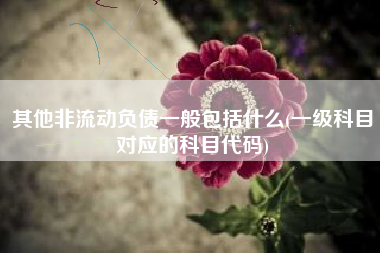 其他非流动负债一般包括什么(一级科目对应的科目代码)