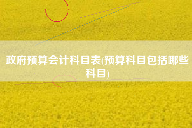 政府预算会计科目表(预算科目包括哪些科目)