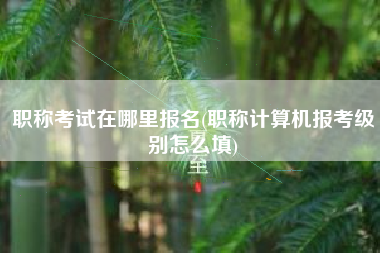 职称考试在哪里报名(职称计算机报考级别怎么填)